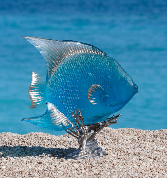 ANGEL FISH x DAUM
