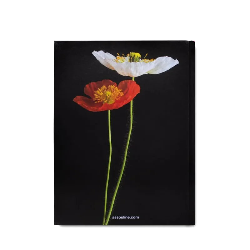 Flowers: Art & Bouquets