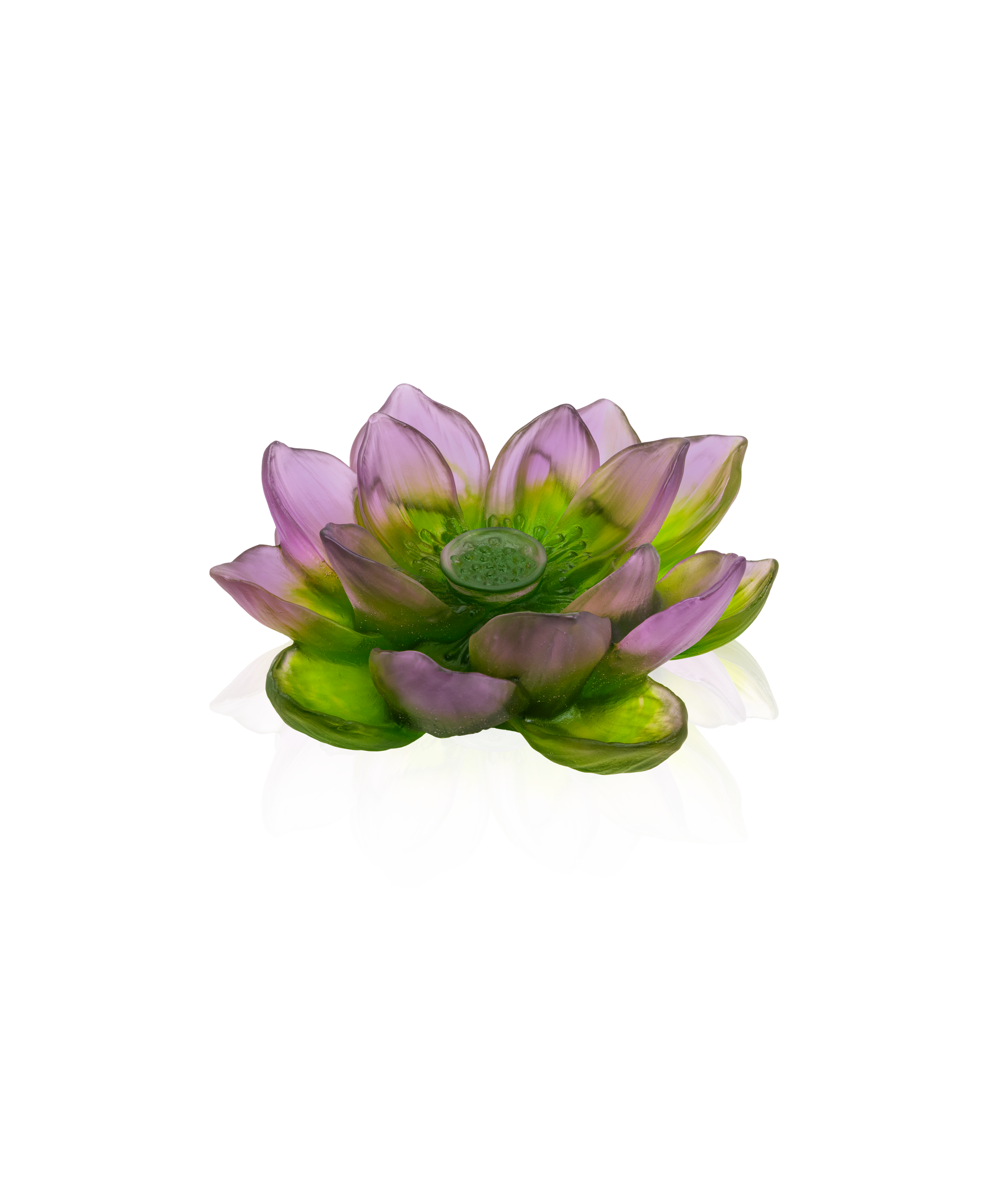 #color_purple and green