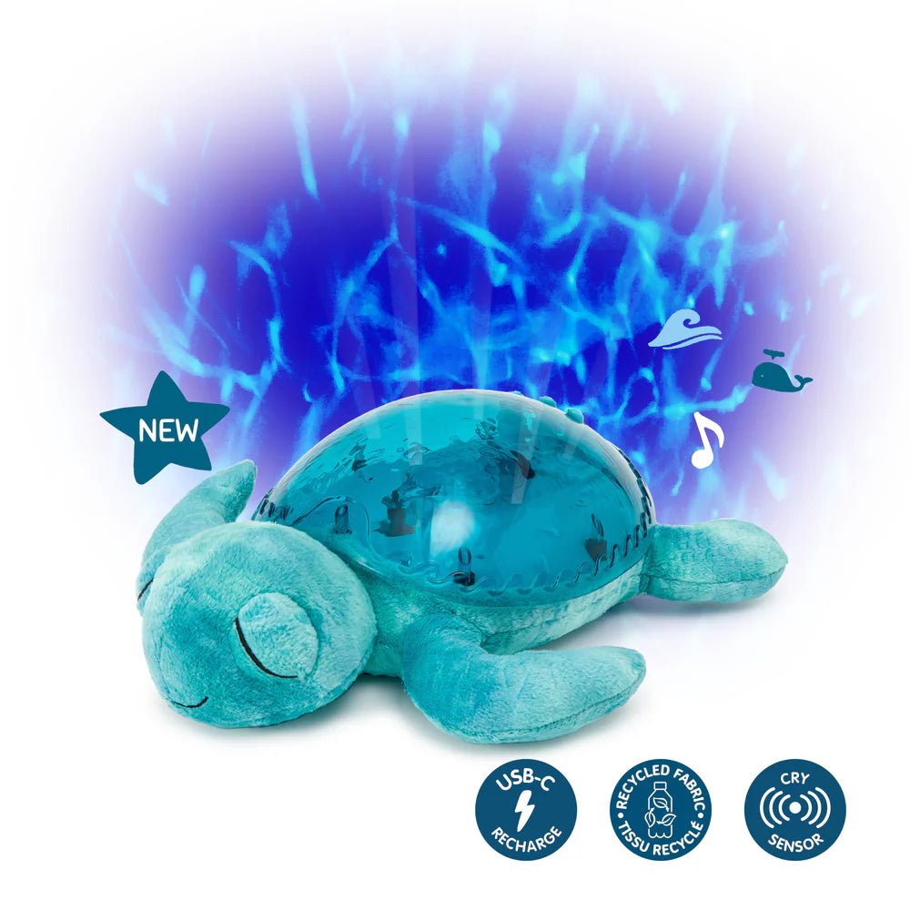 #color_aqua