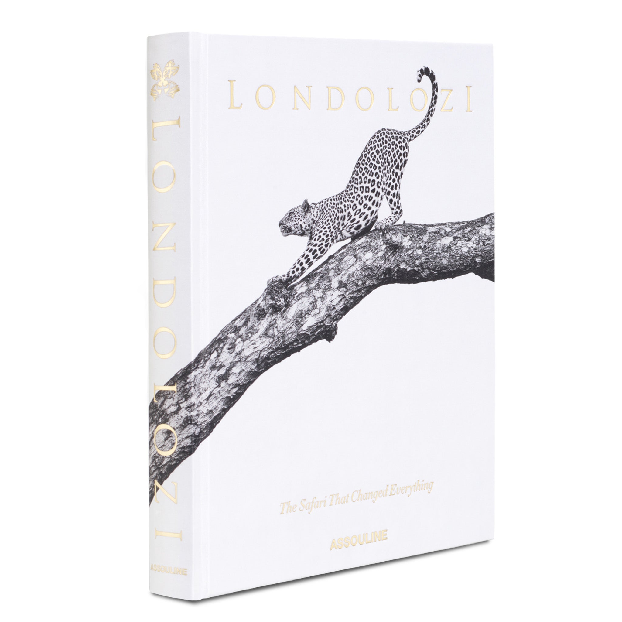 Londolozi: The Safari that Changed Everything