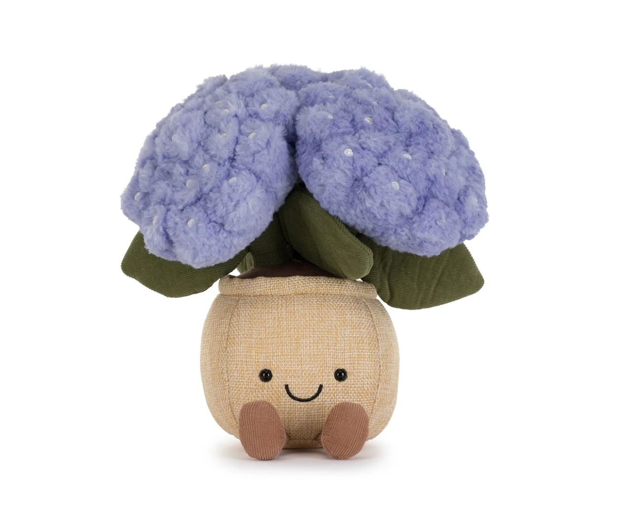 Amuseable Hydrangea