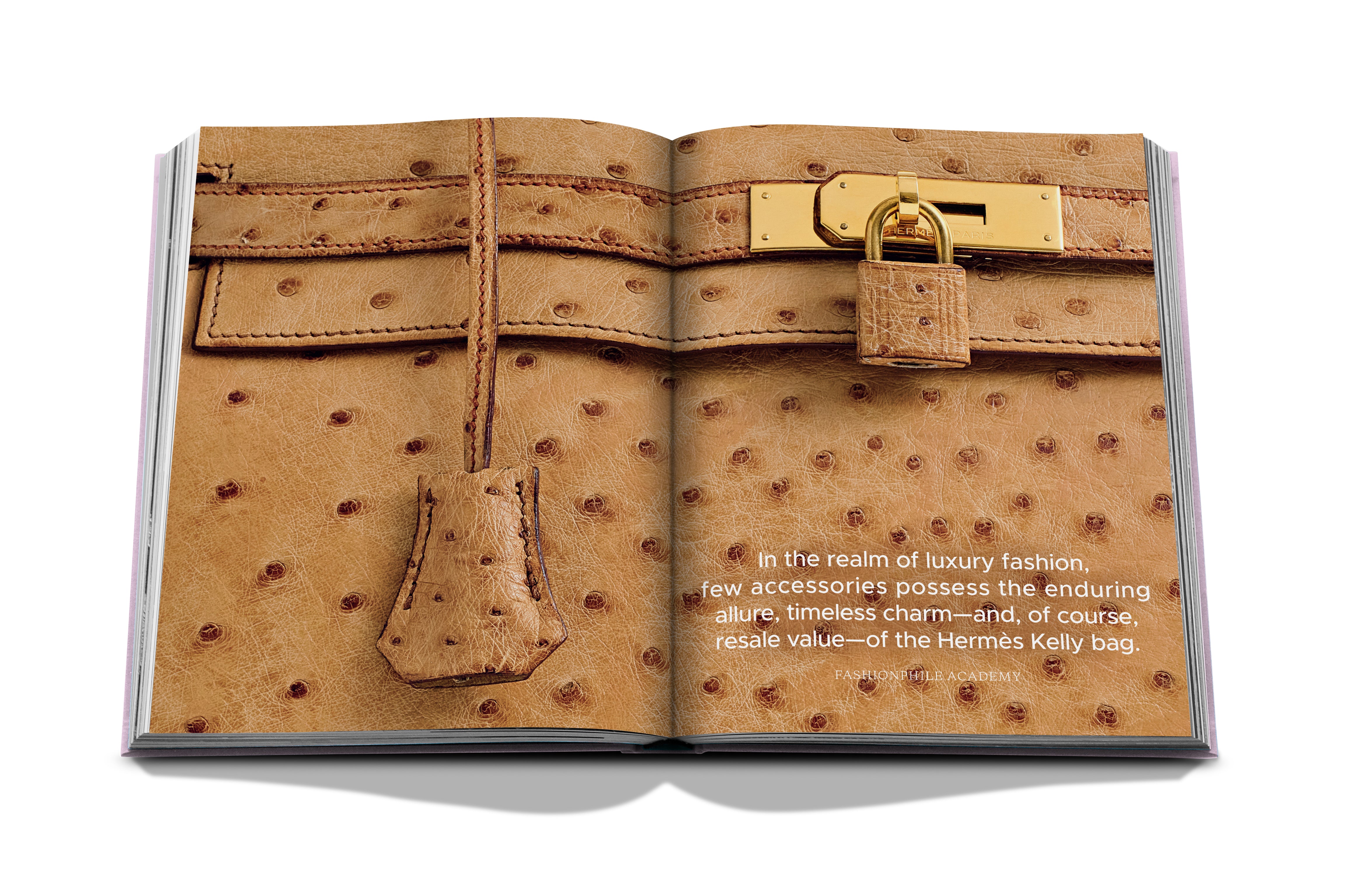 FashionPhilie : The Book of Iconic Bags