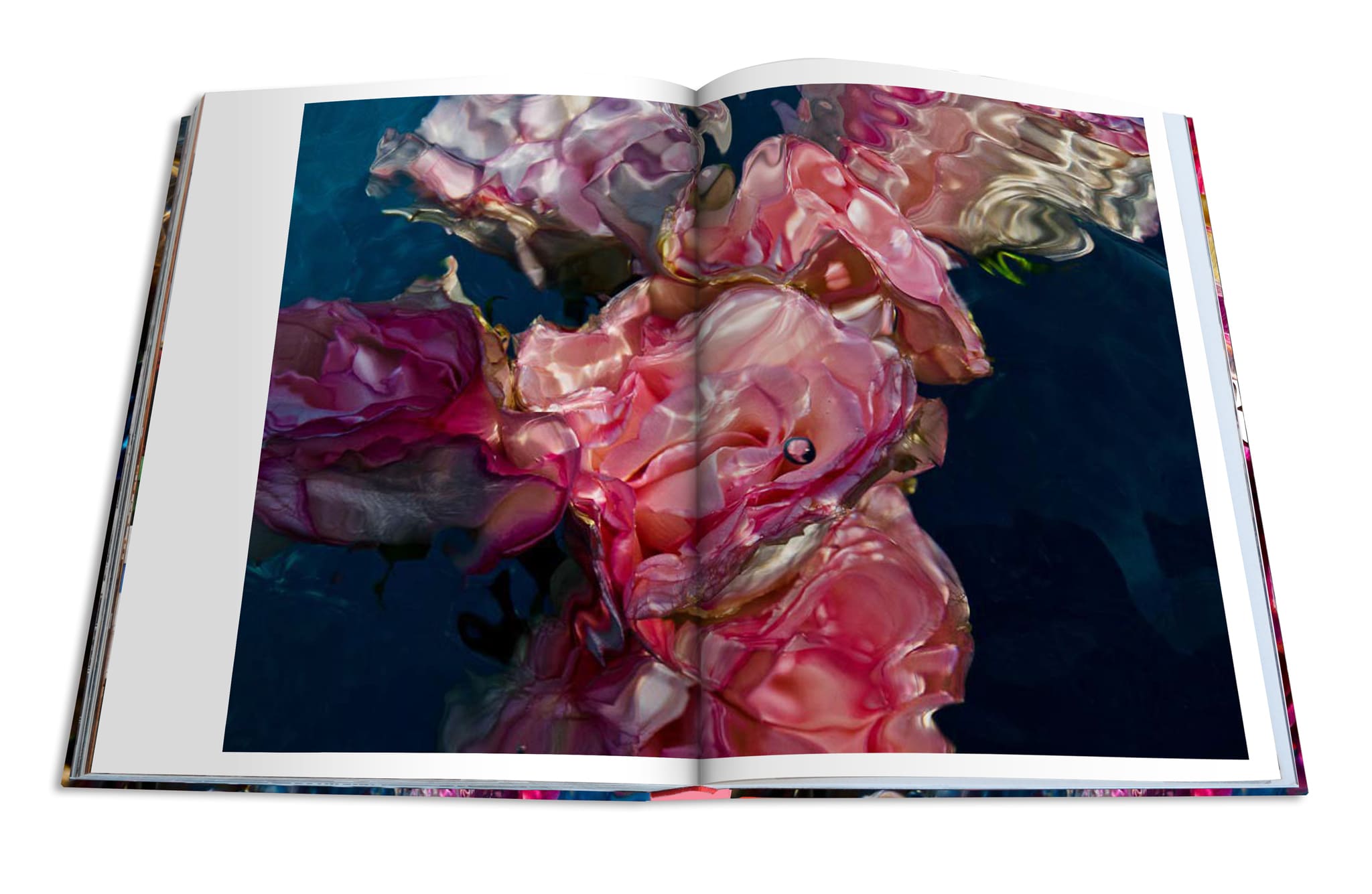 Flowers: Art & Bouquets