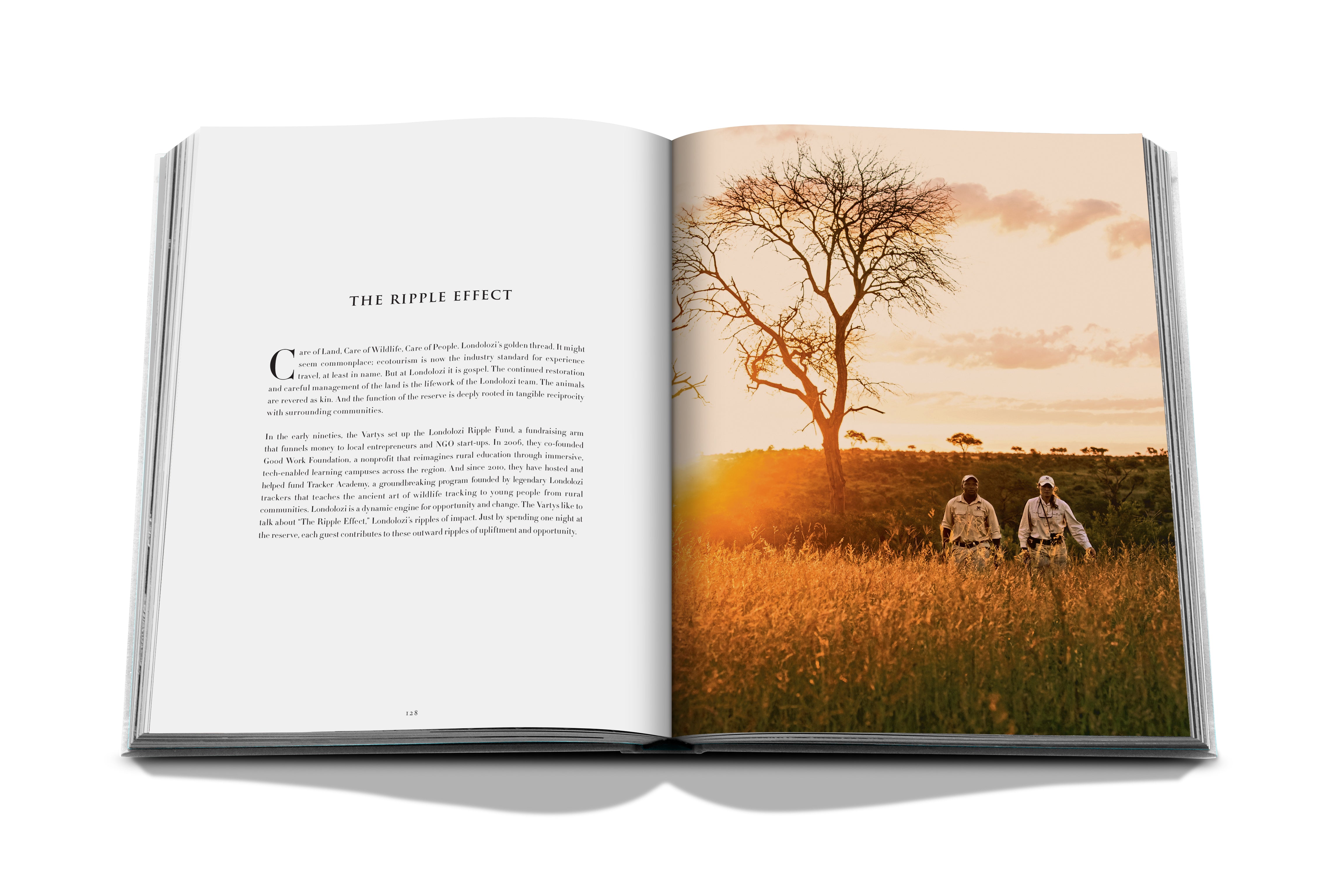 Londolozi: The Safari that Changed Everything