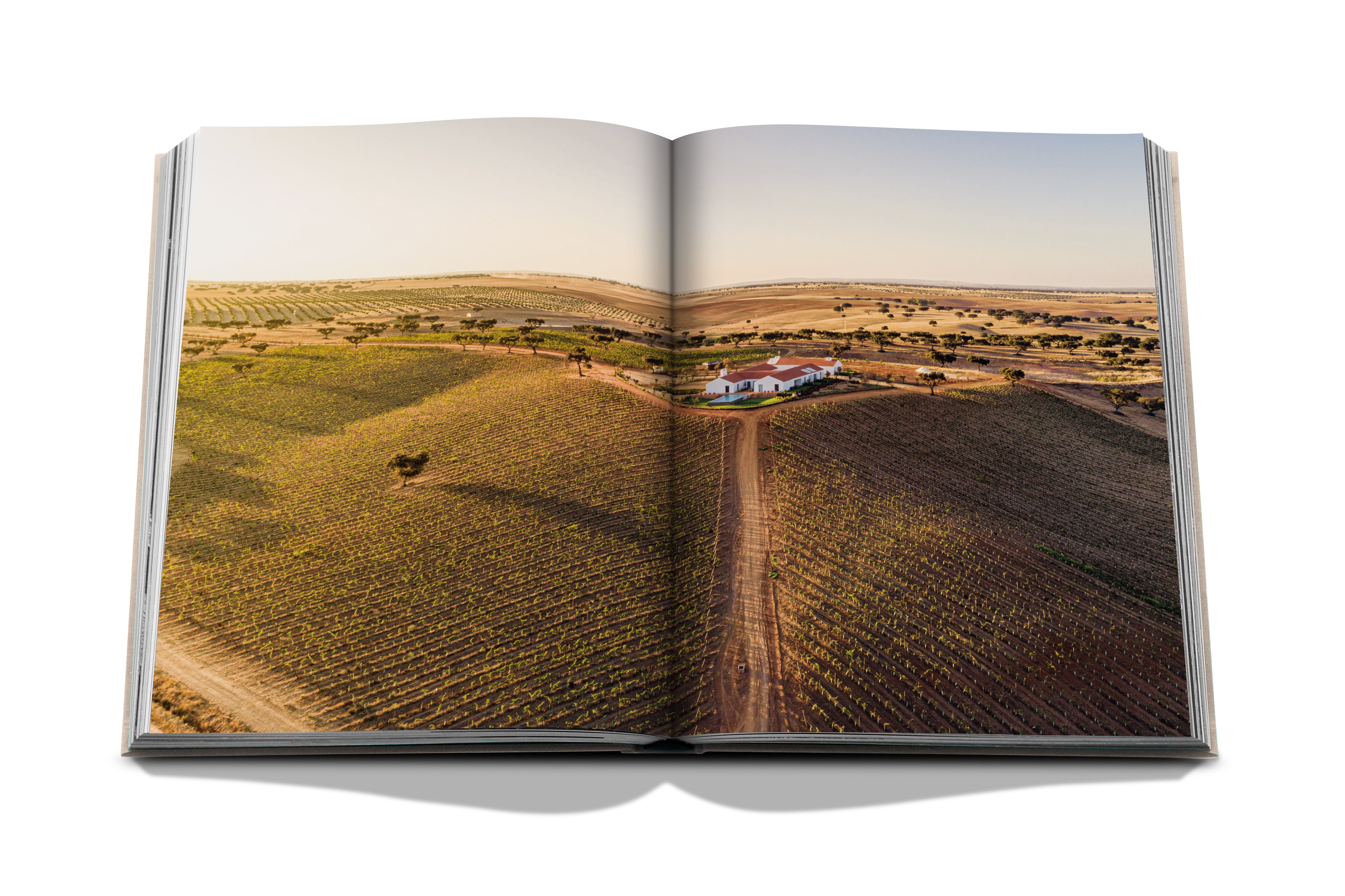 Malhadinha, The Soul of Alentejo