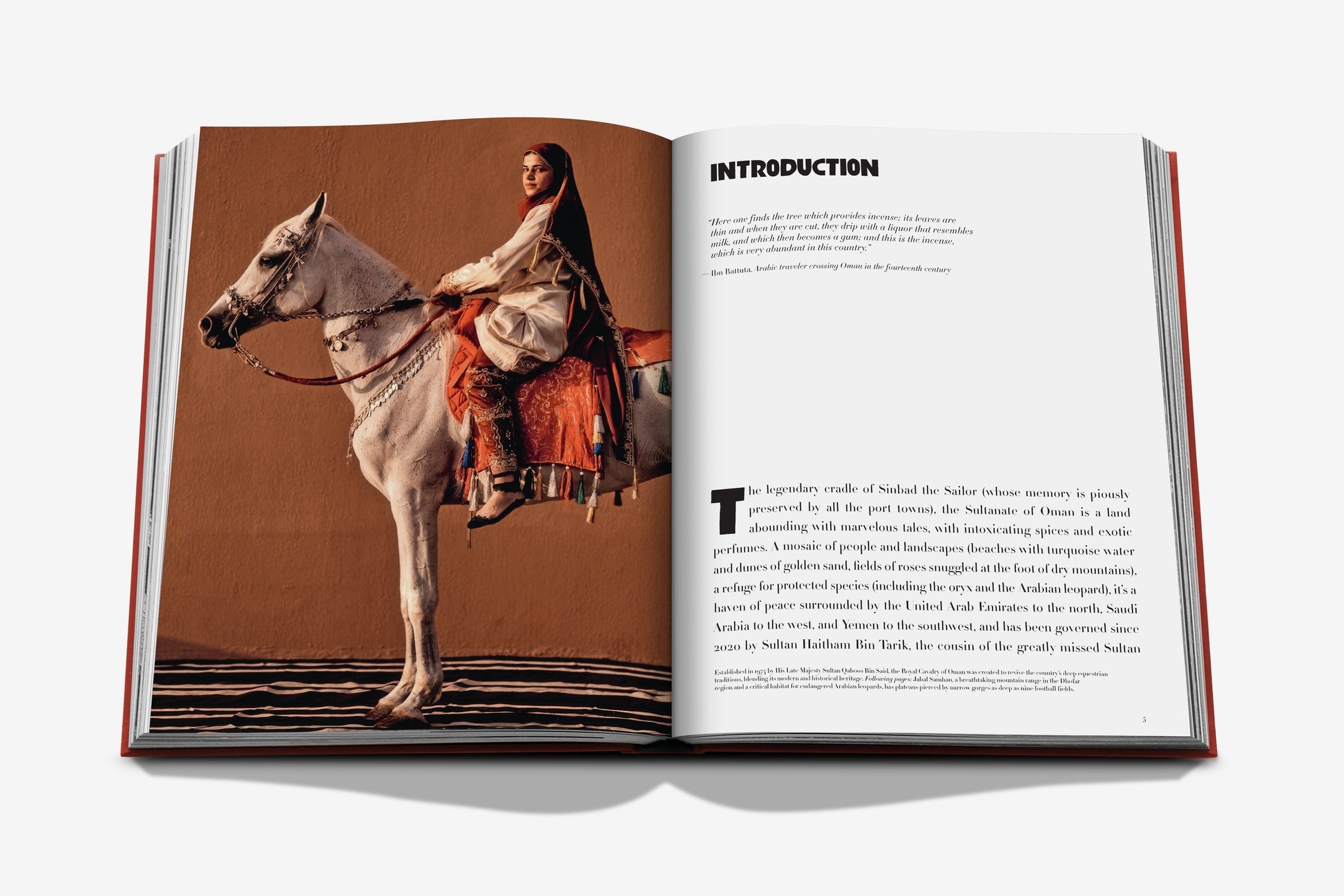 Oman Odyssey
