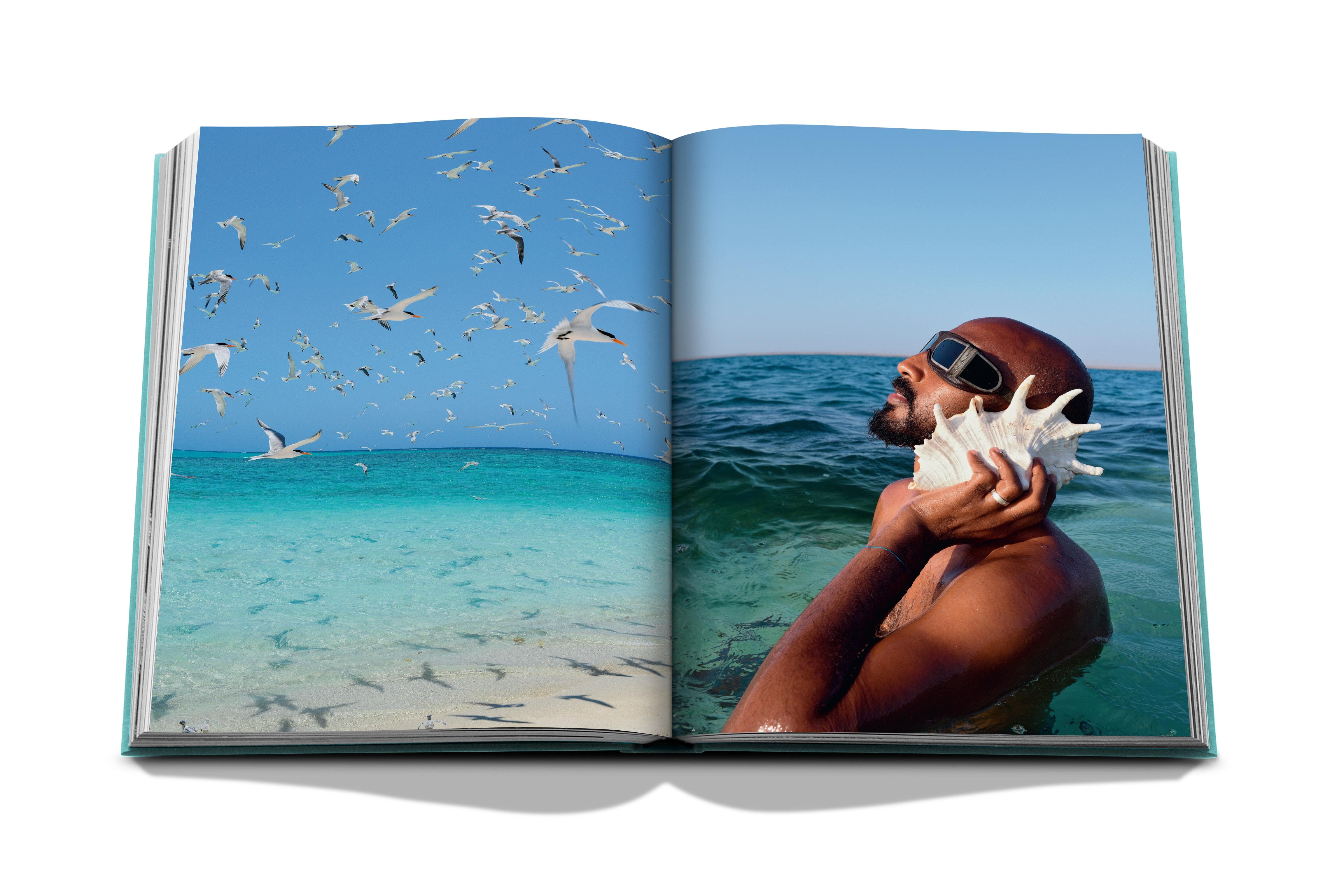 Saudi Arabia: Red Sea, The Saudi Coast