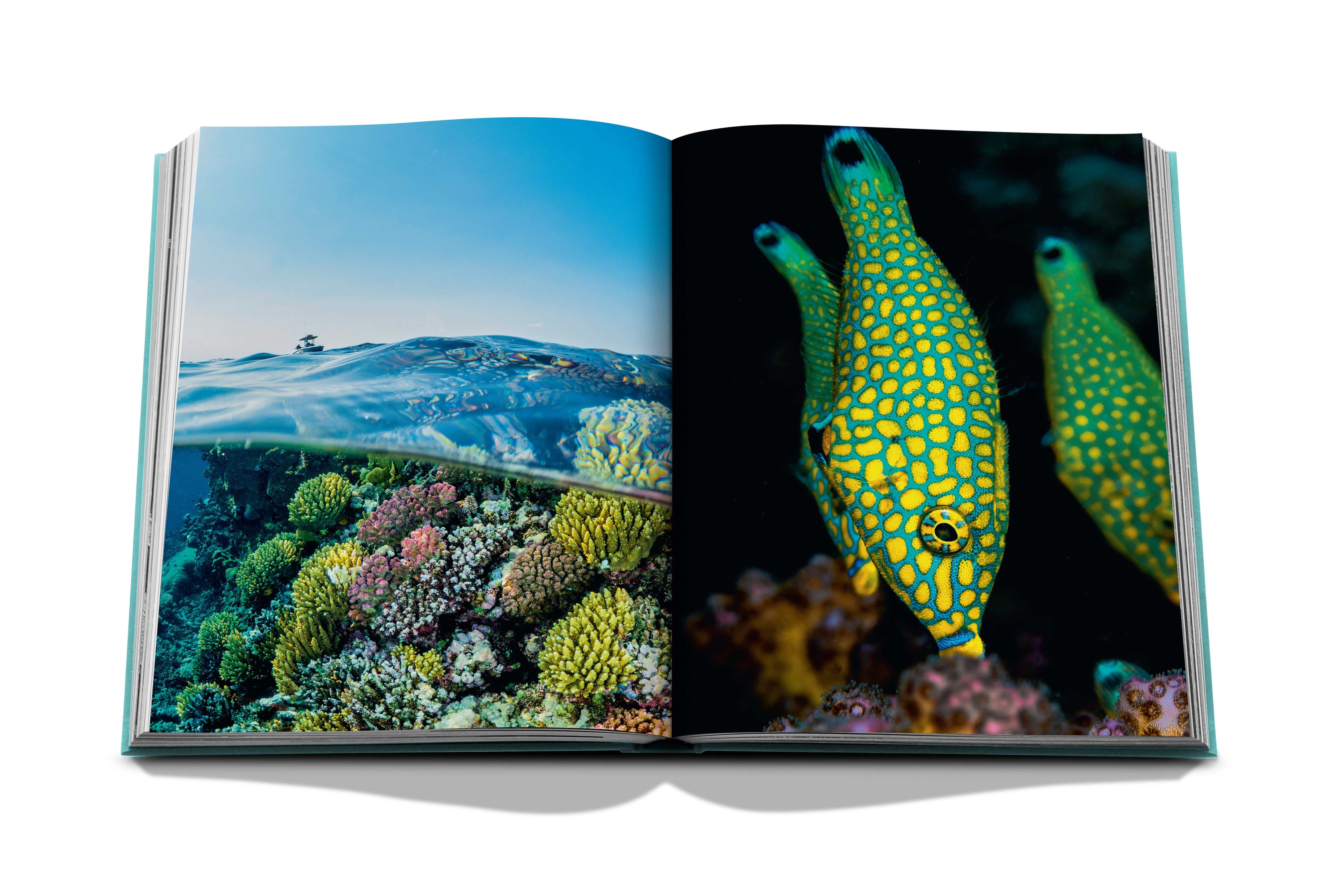 Saudi Arabia: Red Sea, The Saudi Coast
