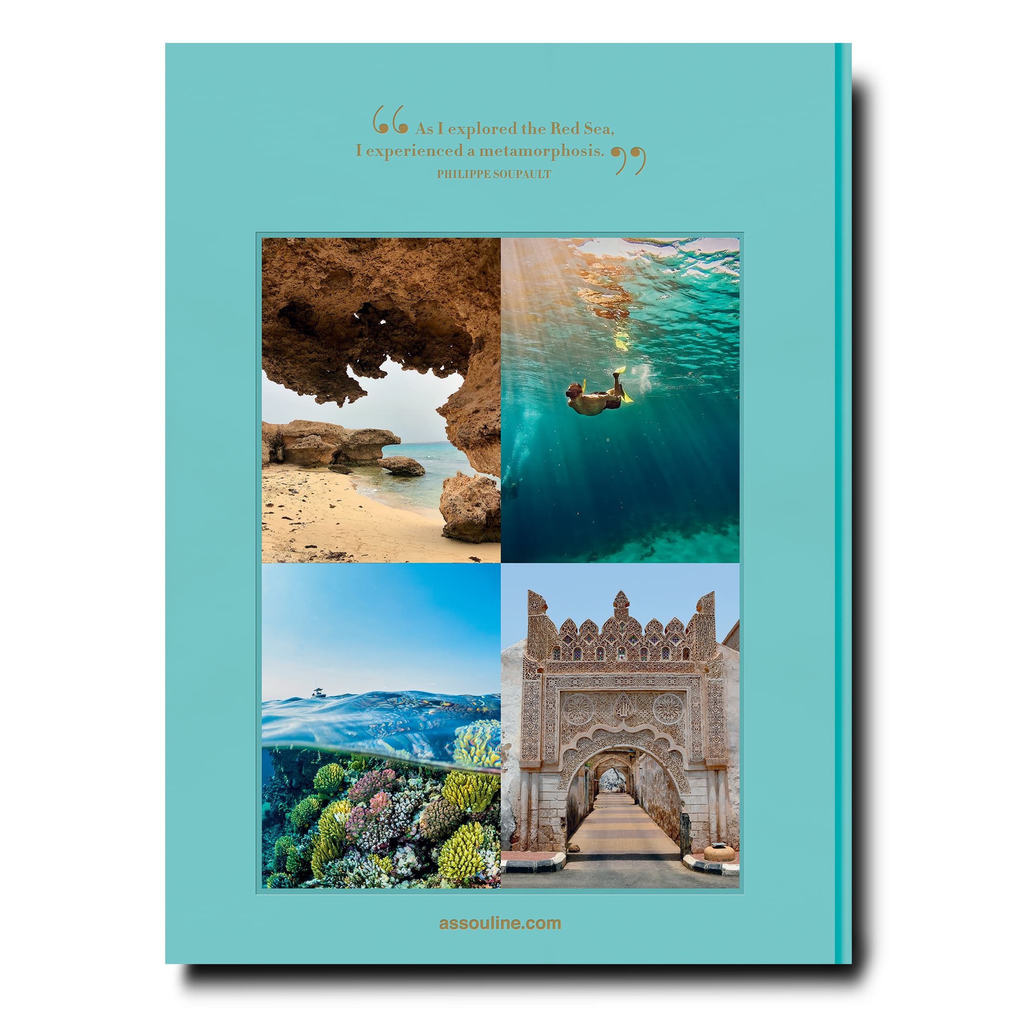 Saudi Arabia: Red Sea, The Saudi Coast