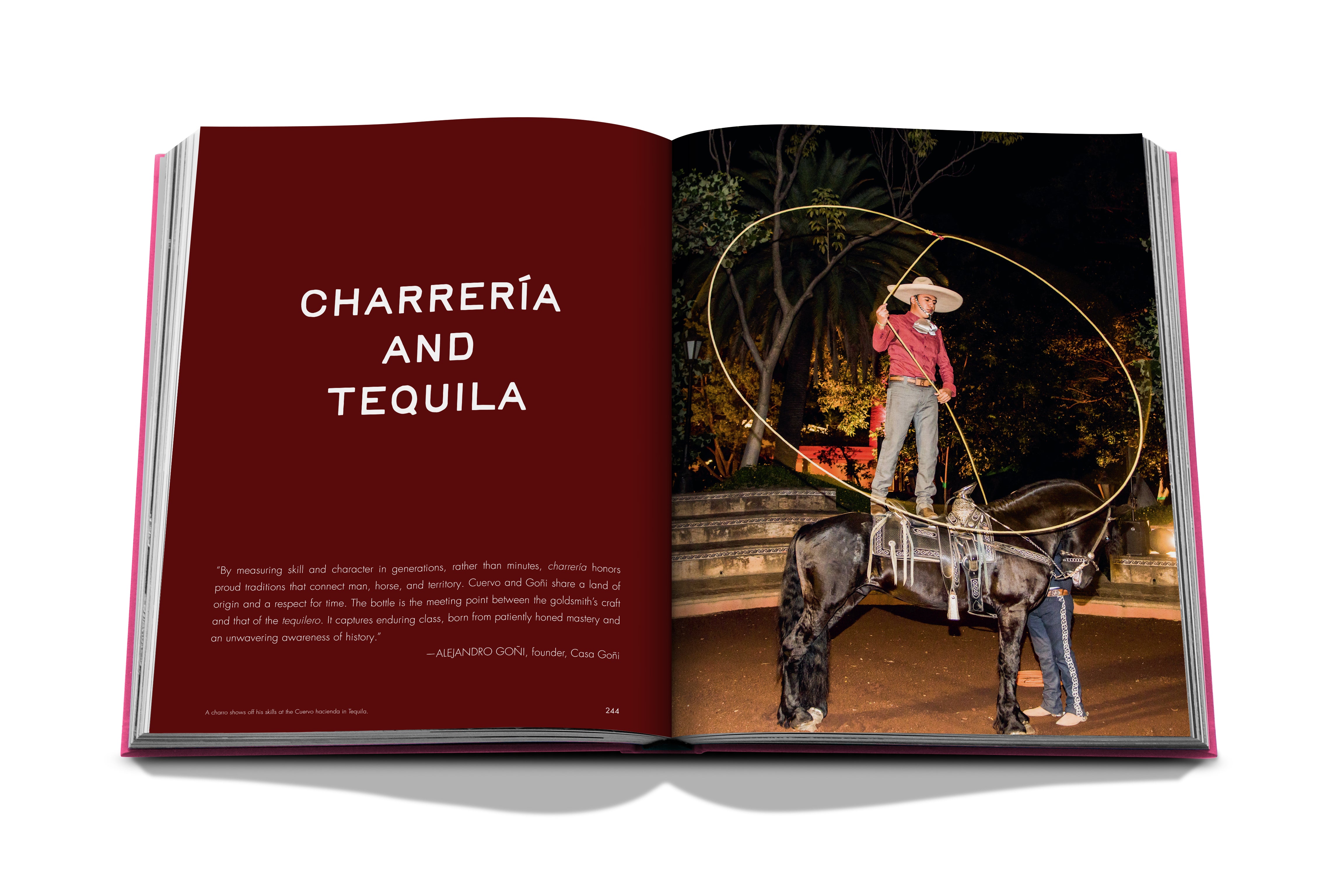 The Art of Tequila: Spirit of Mexico