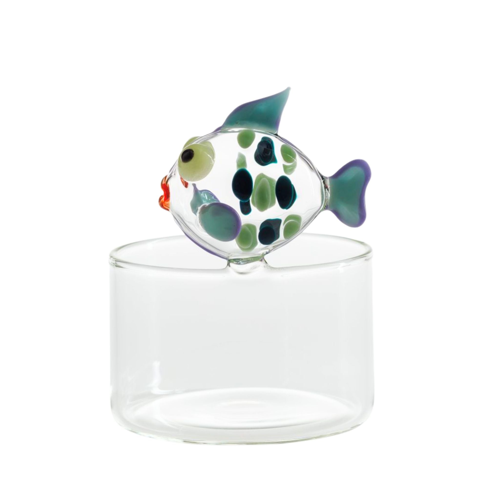 Brio Dotfish
