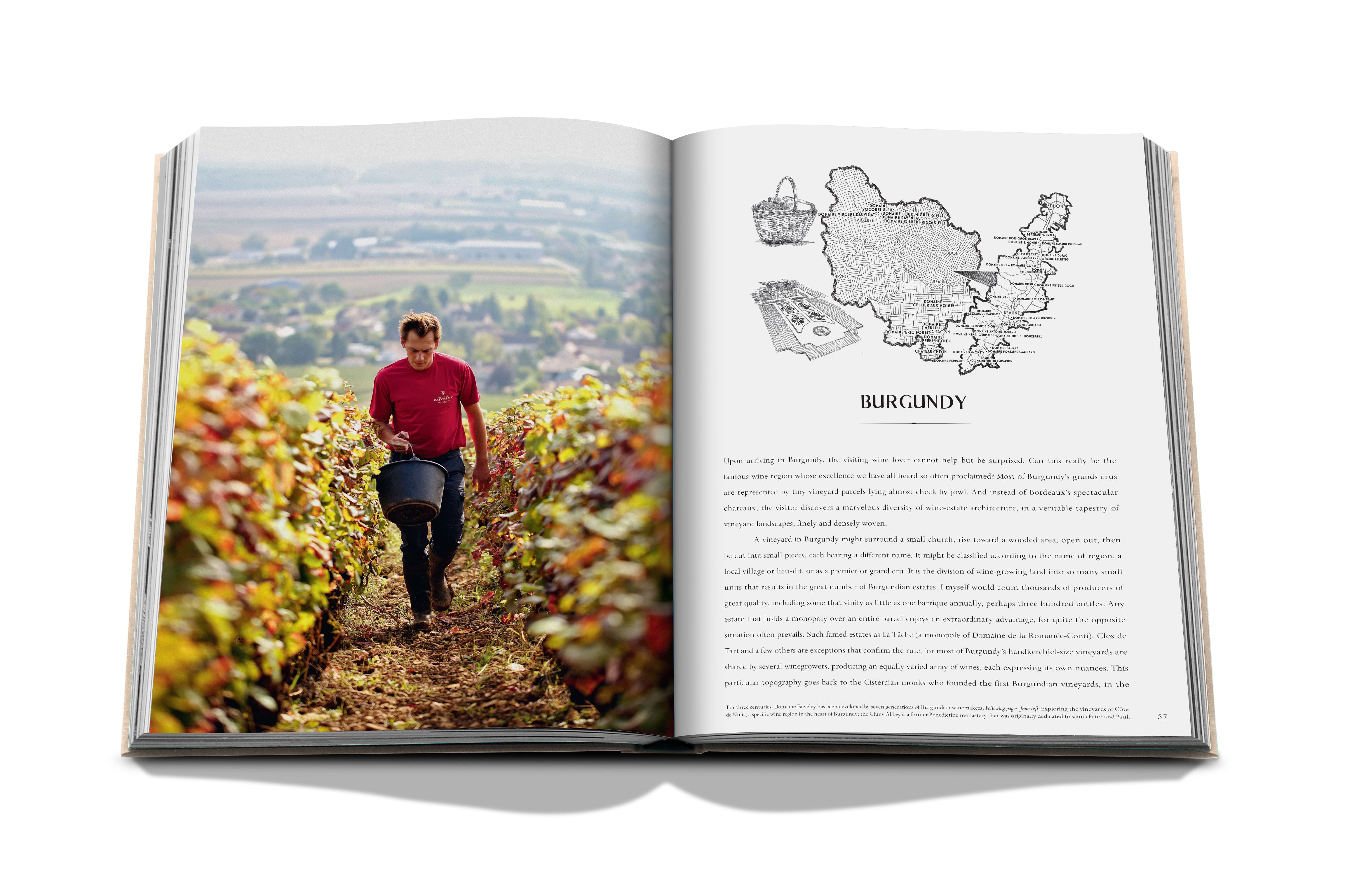 Wine & Travel France