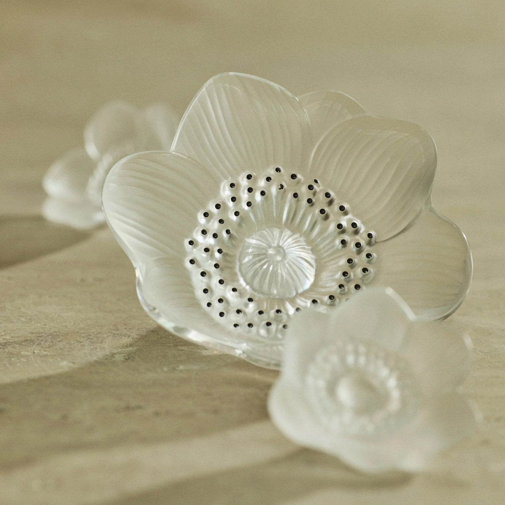 Anemone Sculpture