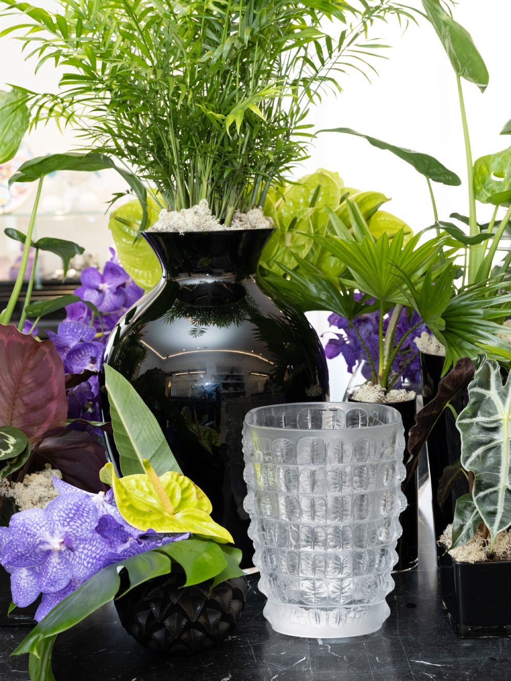 Empreinte Animale Cocktail