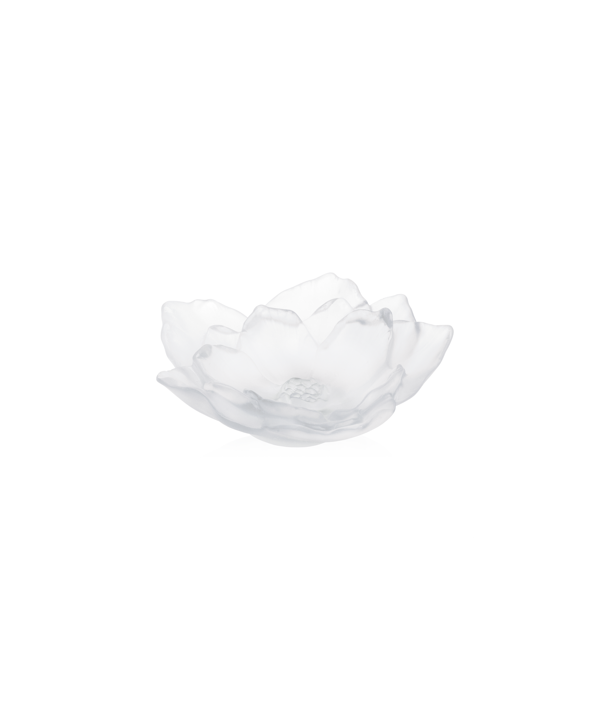 Camelia Bowl Small Size