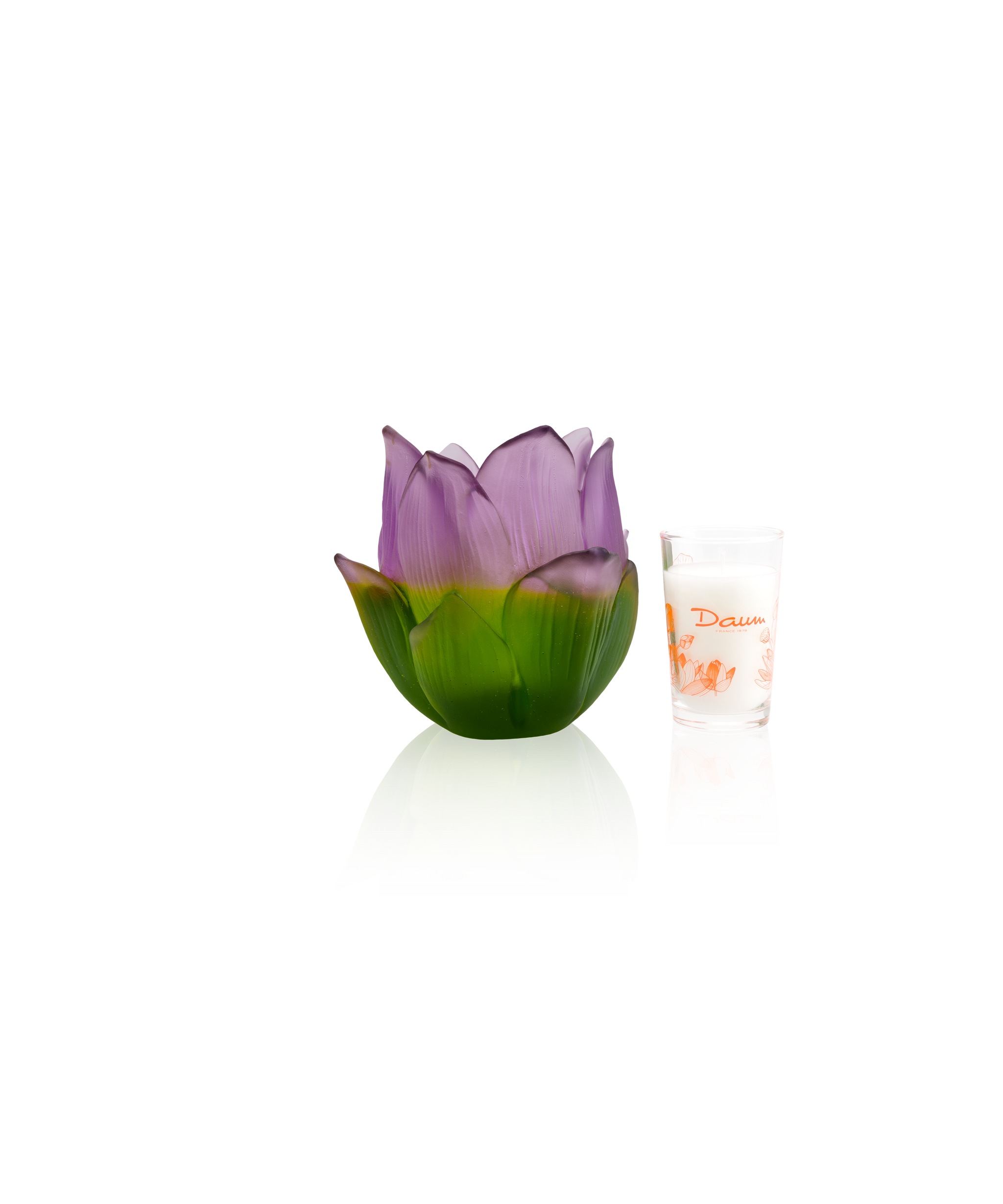 Jardin de Lotus Votive