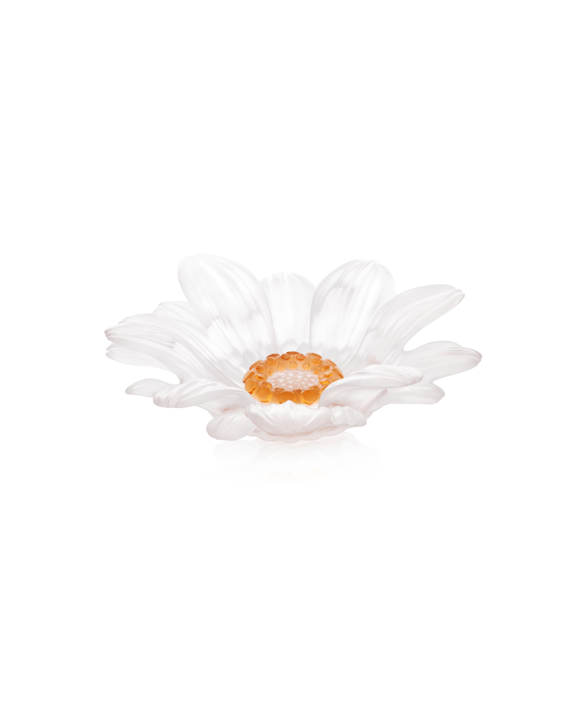 #shape_small size