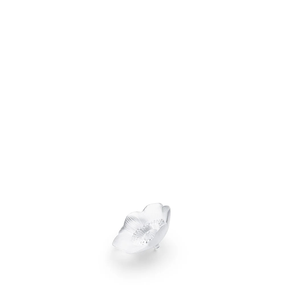 #color_Clear