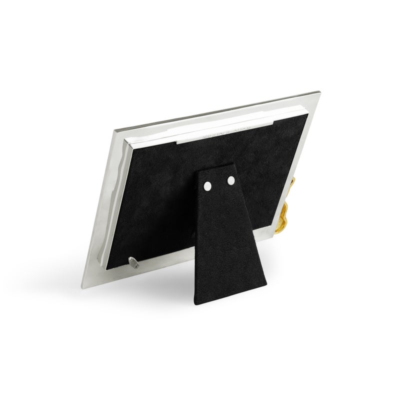 Teddy Frame