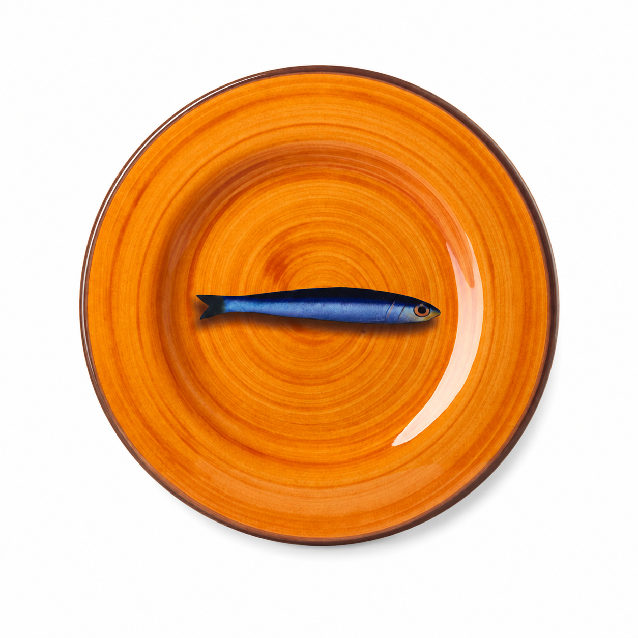 #color_orange
