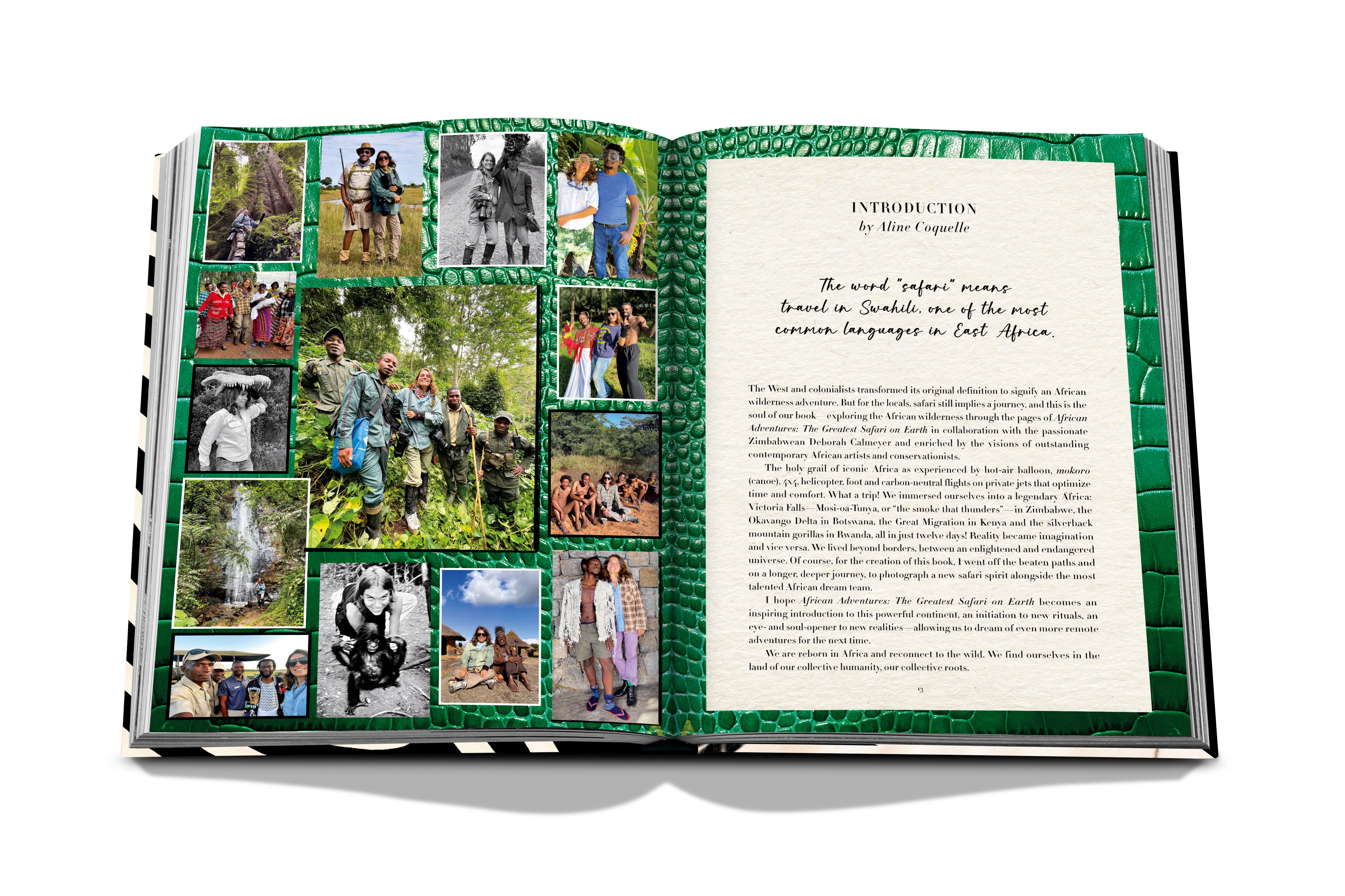 African Adventures : The Greatest Safari on Earth
