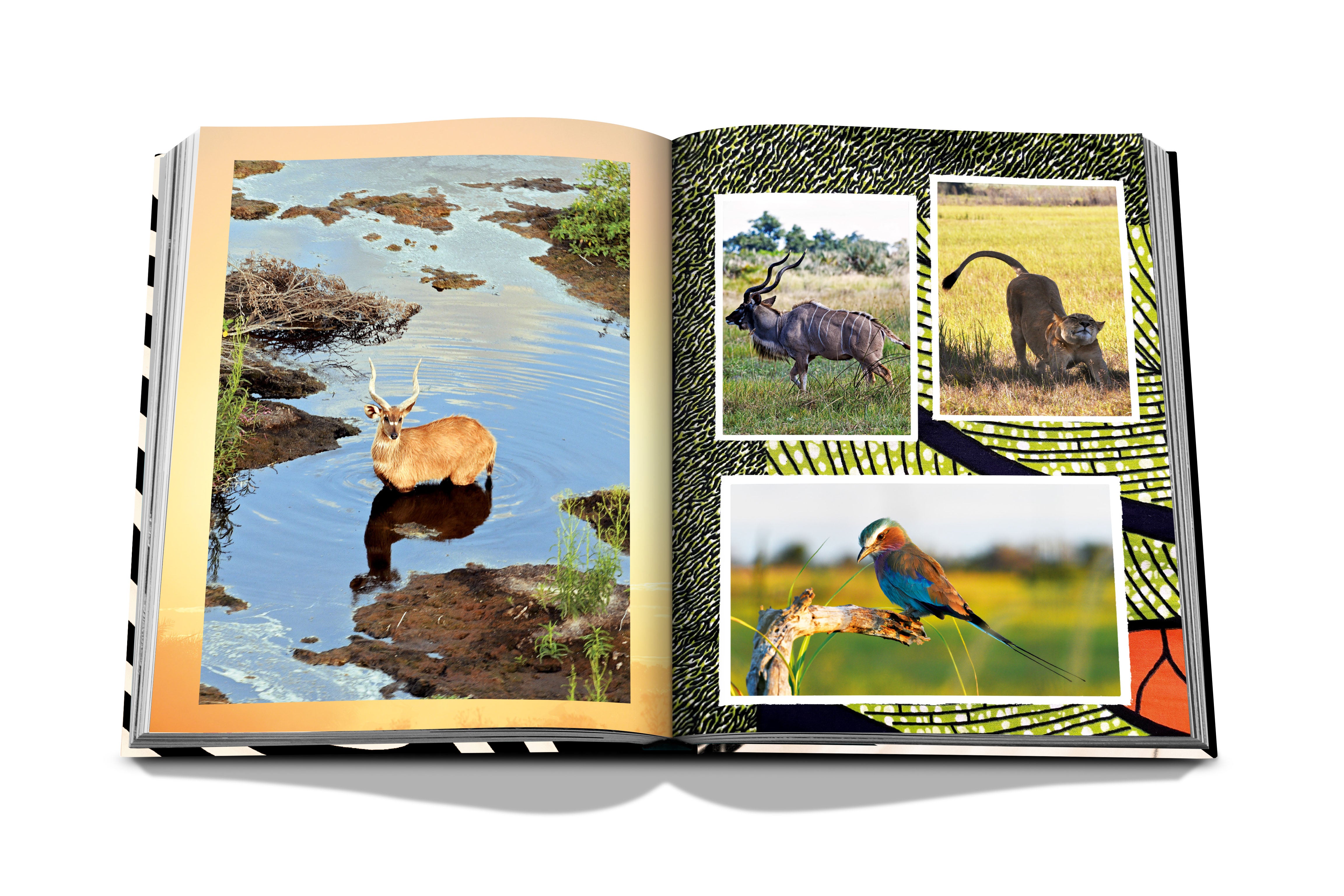 African Adventures : The Greatest Safari on Earth