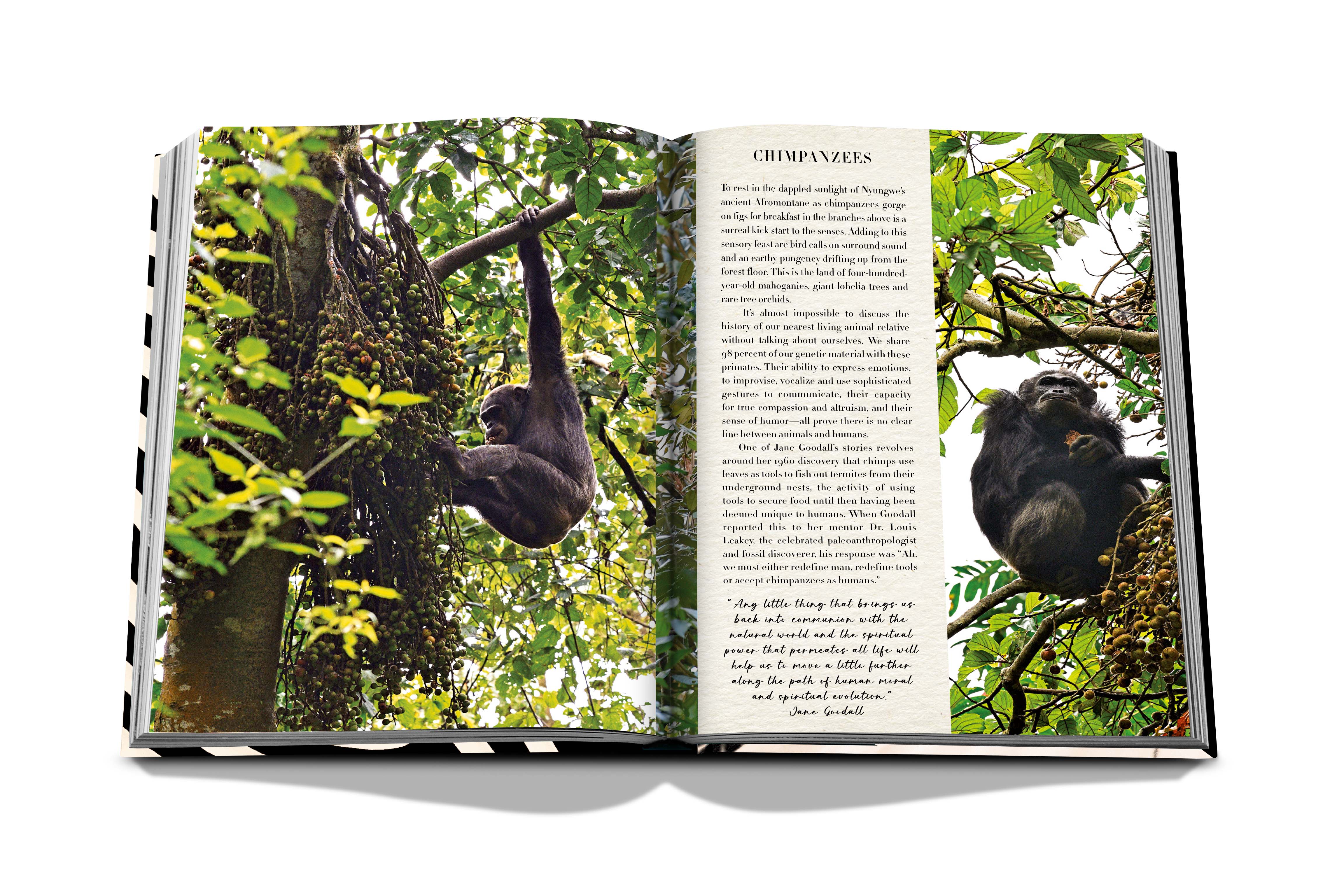 African Adventures : The Greatest Safari on Earth