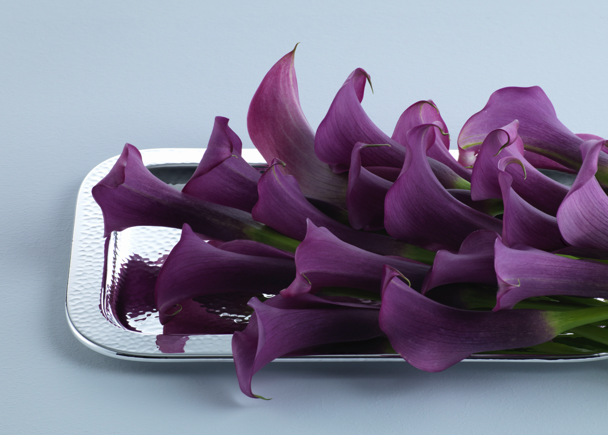 Martelé Tray