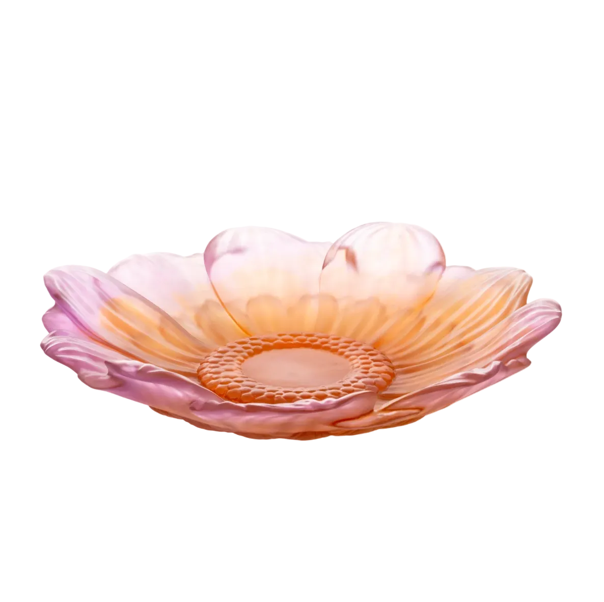 Or d'Abeille Medium Presentation Flower Amber-pink