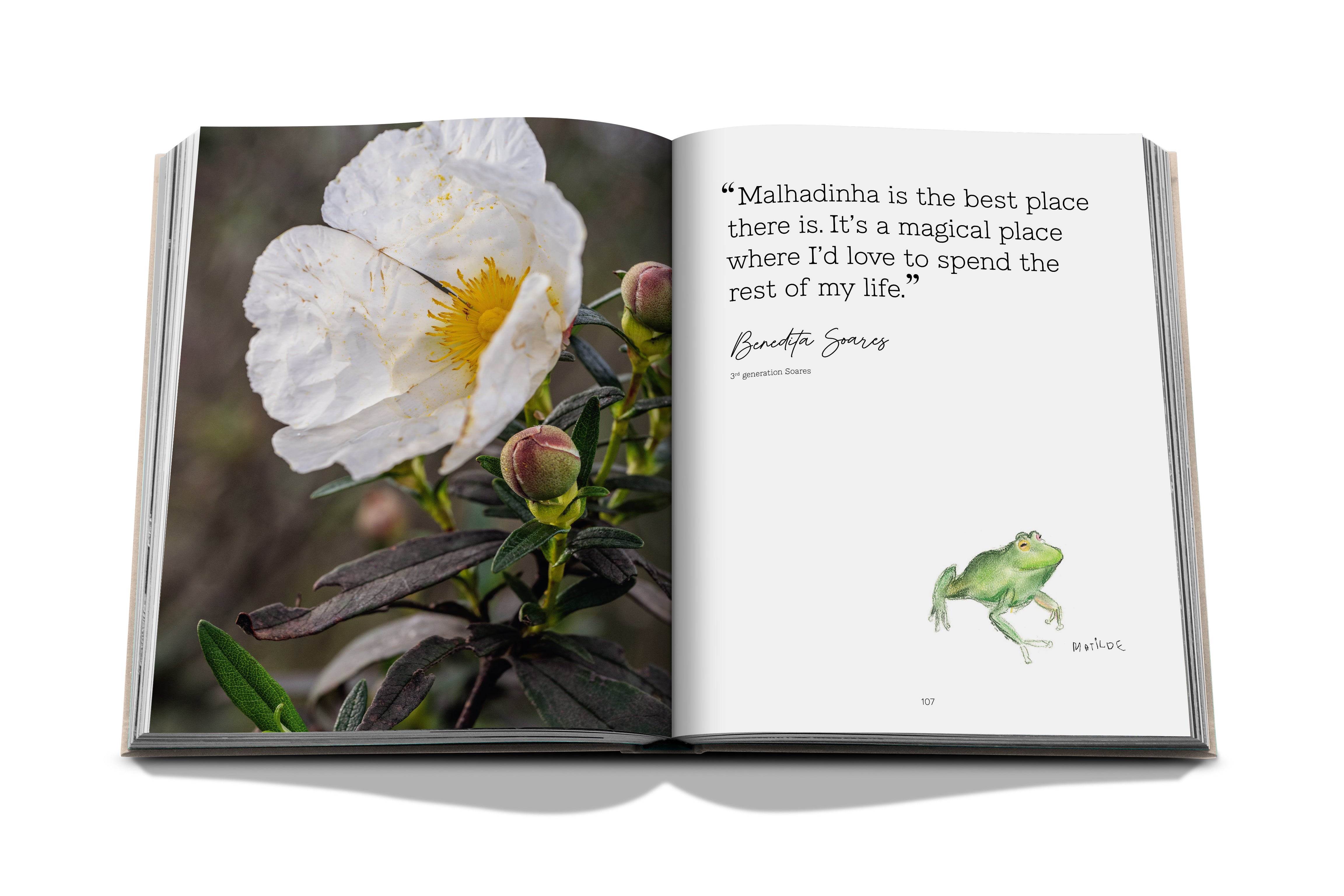 Malhadinha, The Soul of Alentejo