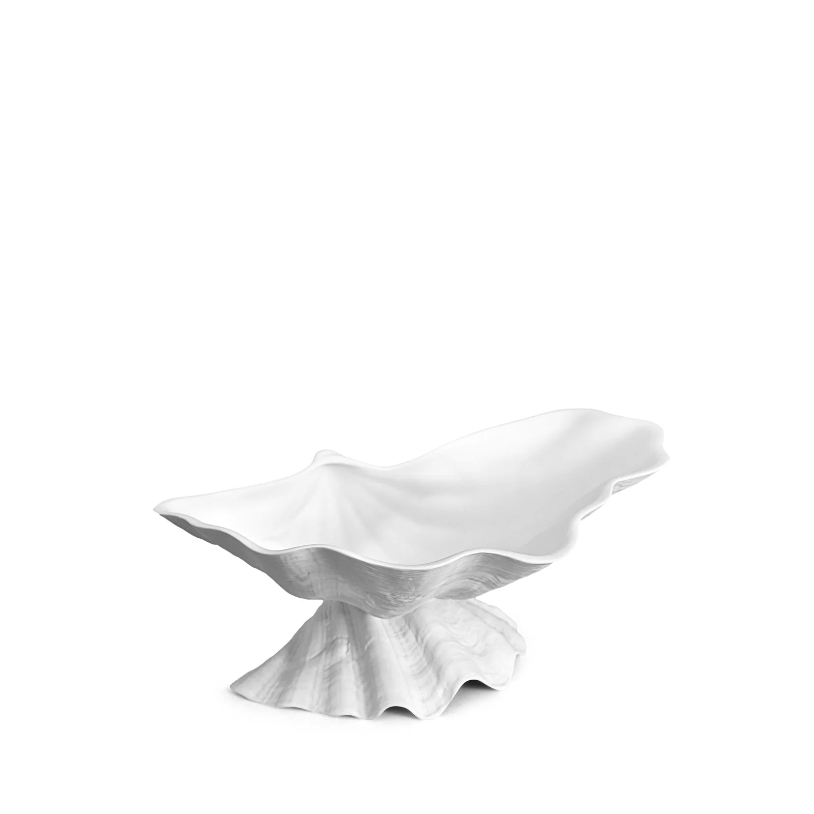 #Size_Medium