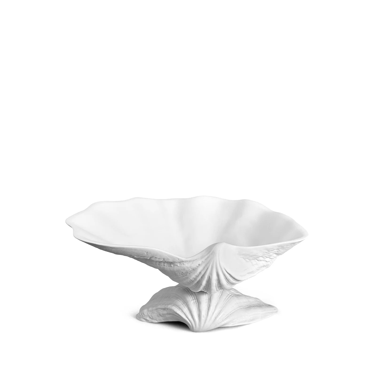 #Size_Medium