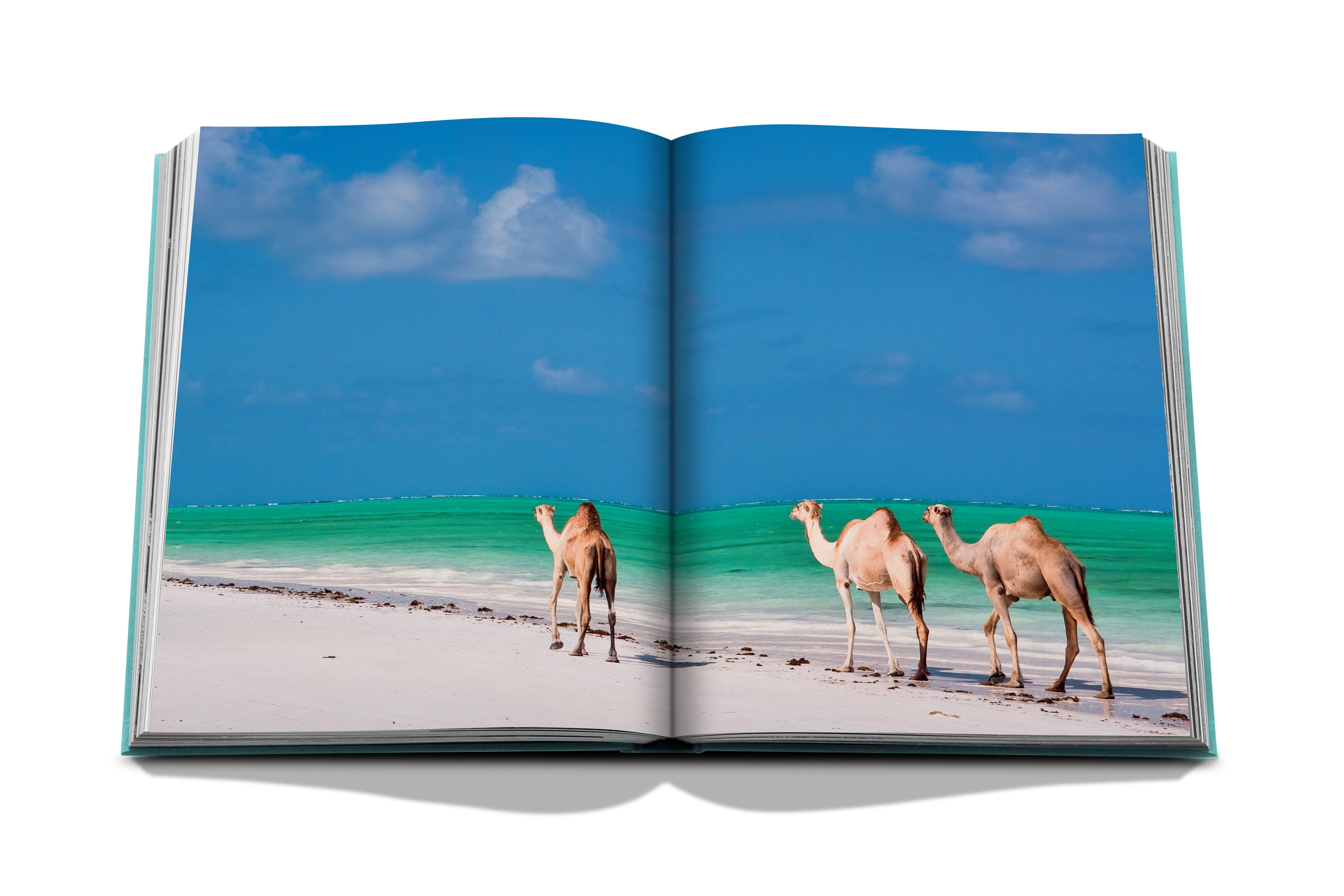 Saudi Arabia: Red Sea, The Saudi Coast