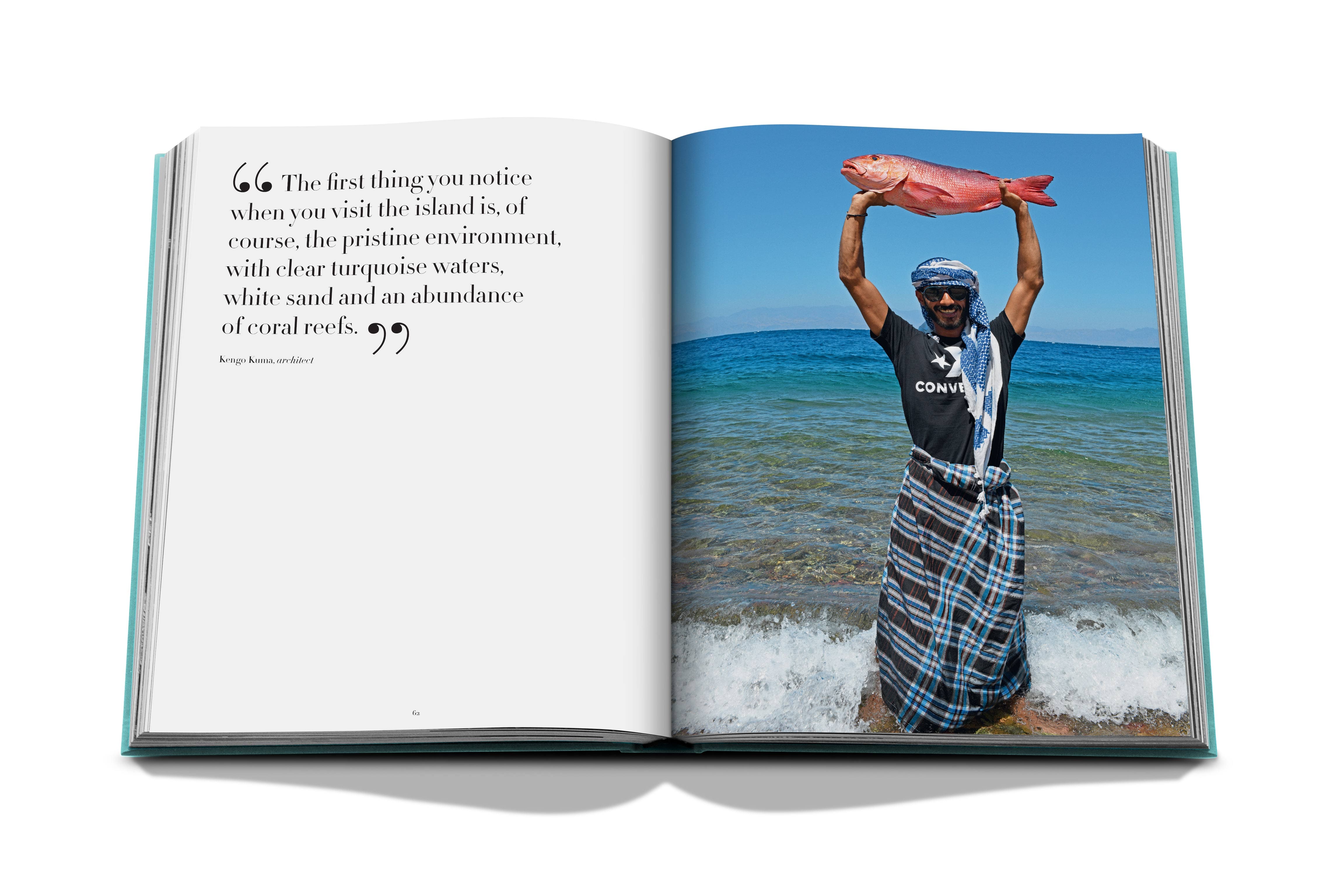 Saudi Arabia: Red Sea, The Saudi Coast