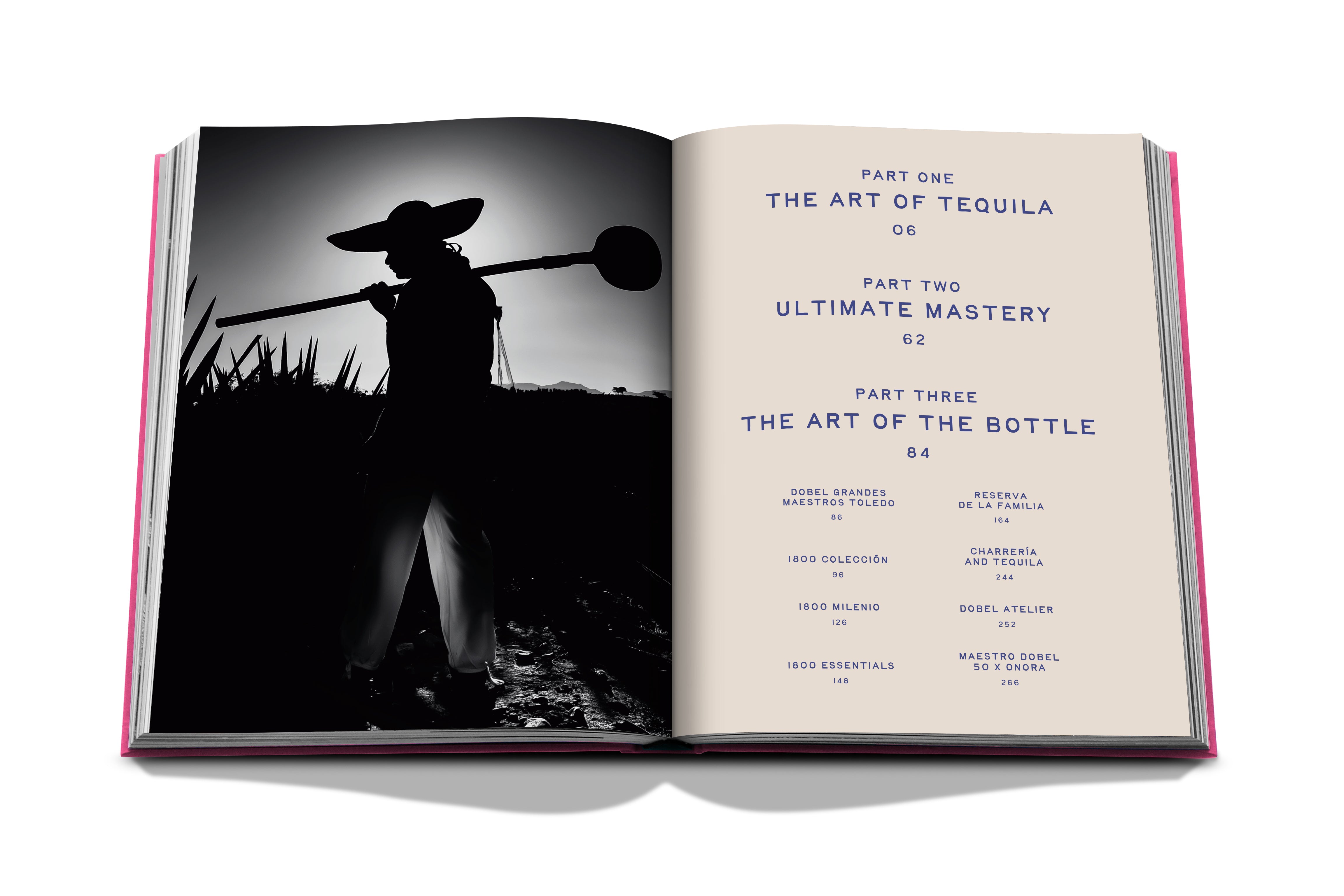 The Art of Tequila: Spirit of Mexico