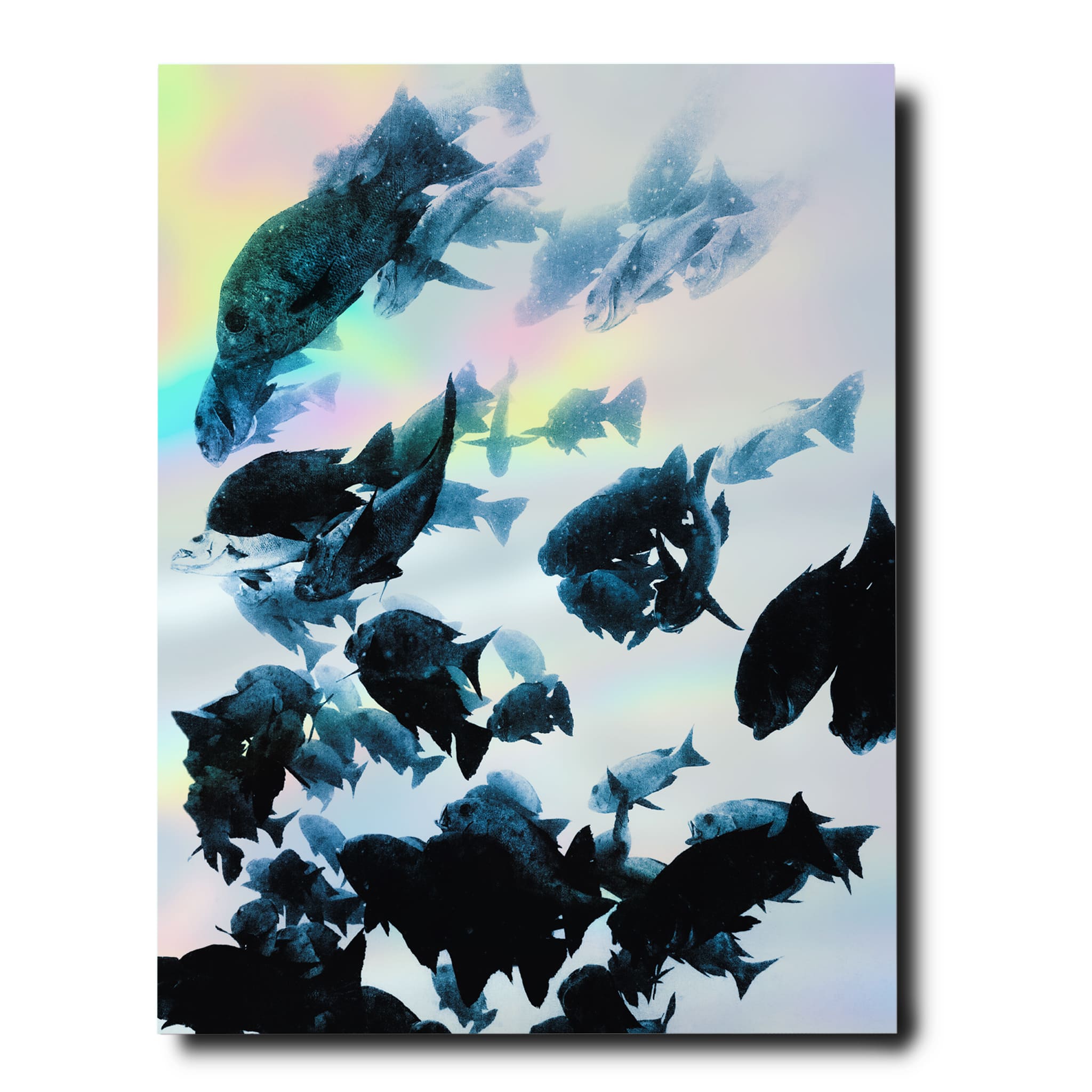 The Coral Triangle