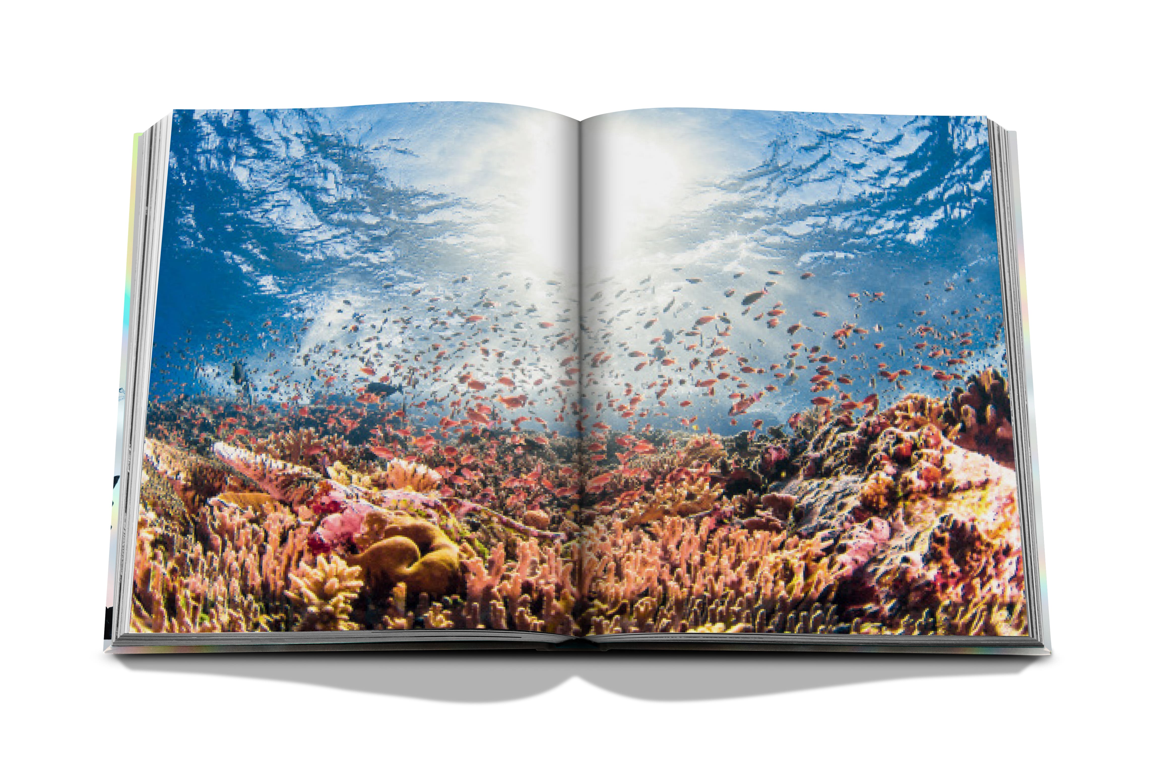 The Coral Triangle