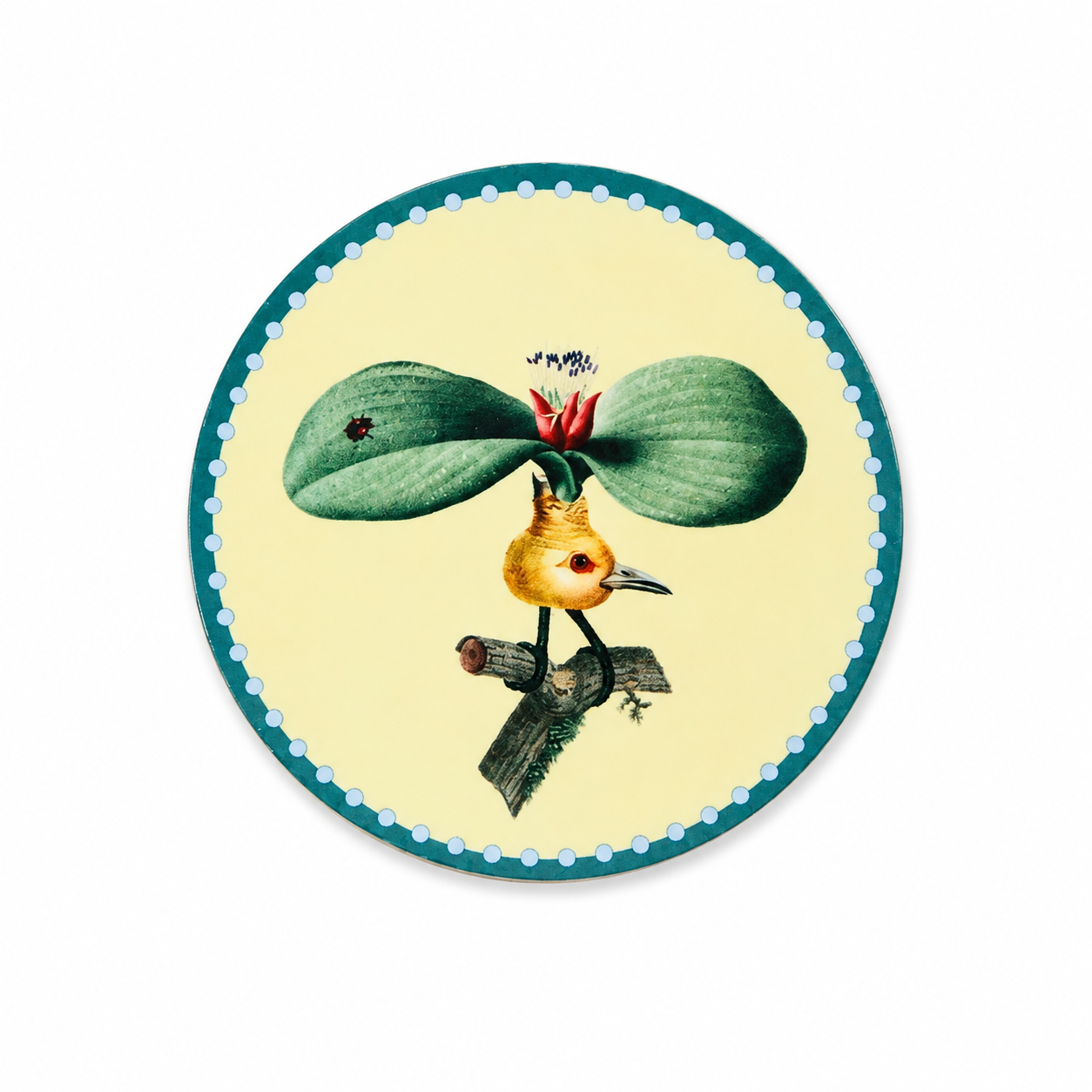 Disk Coasters Fantastic Creatures - Set Of 8