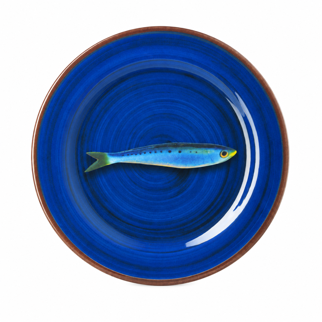 #color_blue