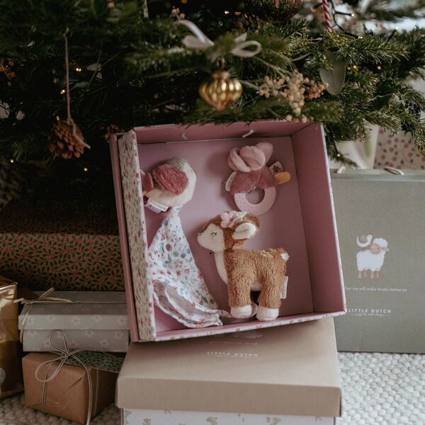 Gift set Fairy Garden