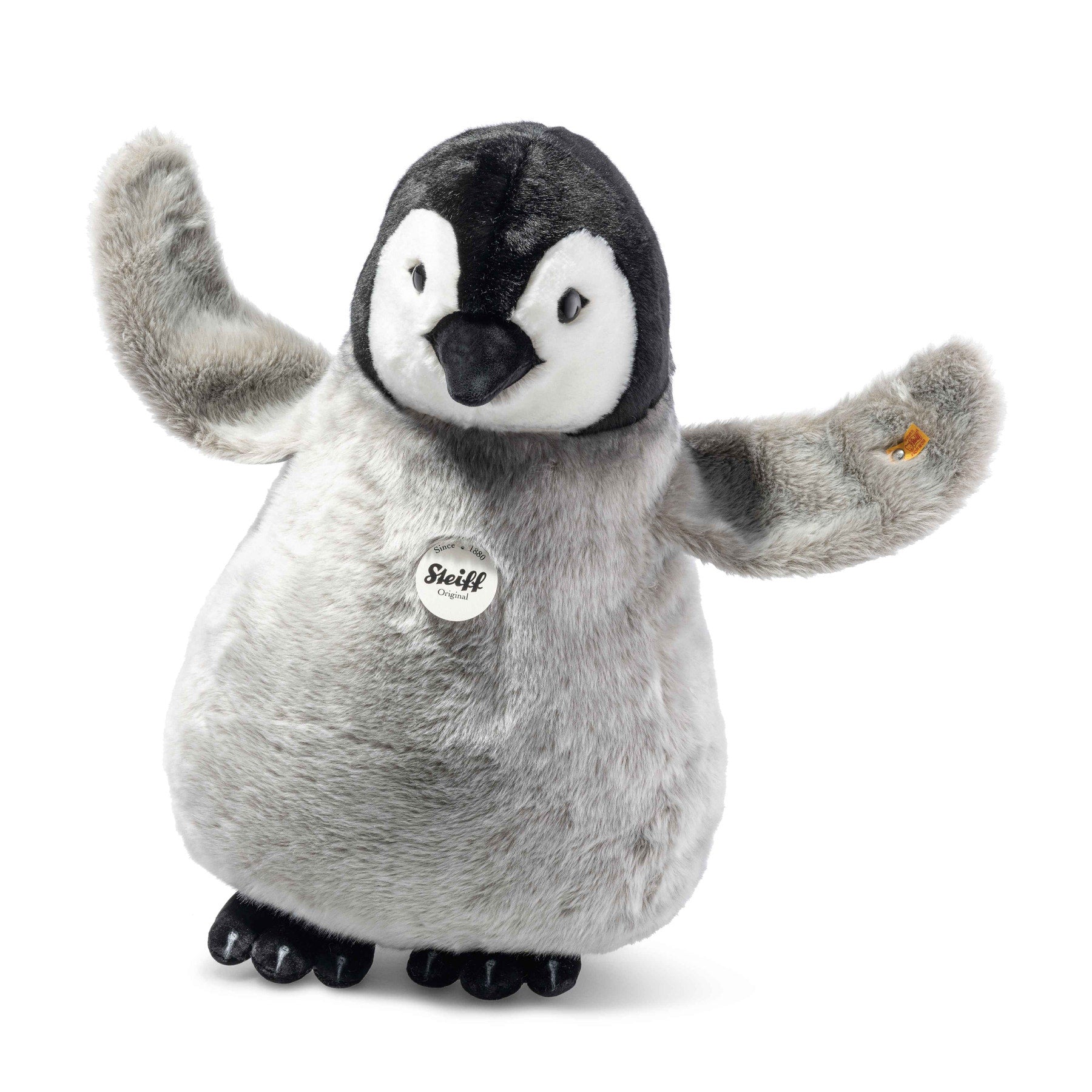 Flaps penguin