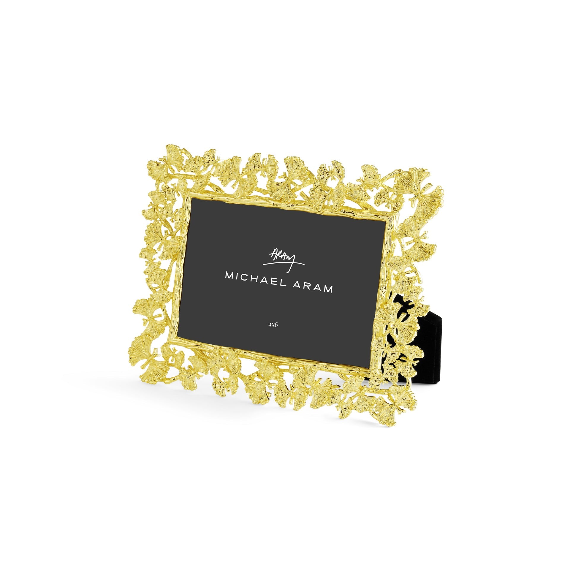 Butterfly Ginko Frame