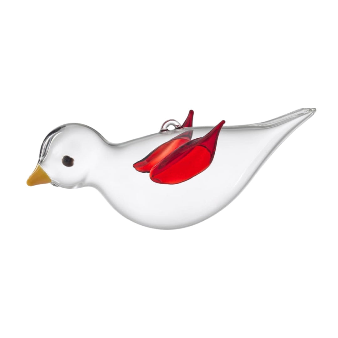 Uccello